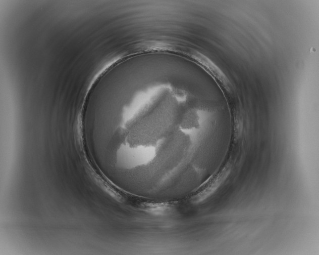 X0000110320798200905211525