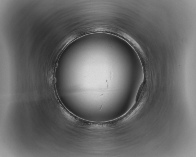 X0000110320801200905211525