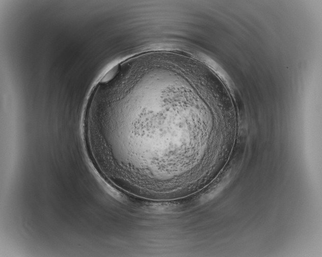 X0000110320803200905211525