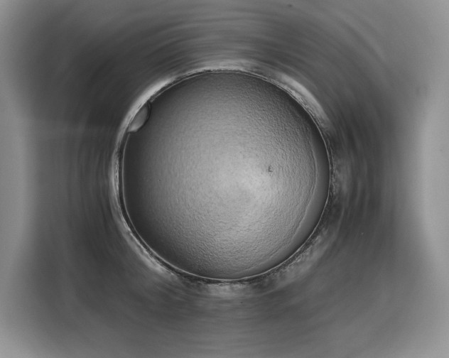 X0000110320804200905211525