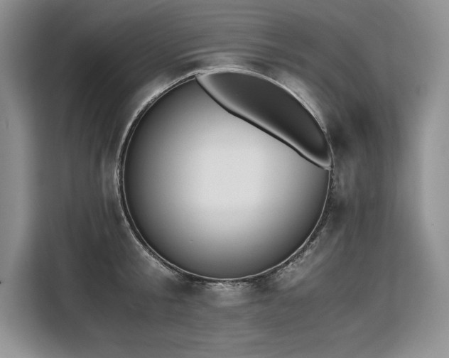 X0000110320805200905211525