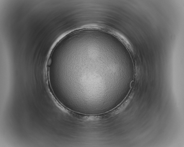 X0000110320808200905211525