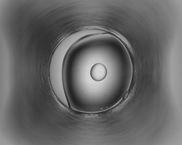 X0000110320809200905211525