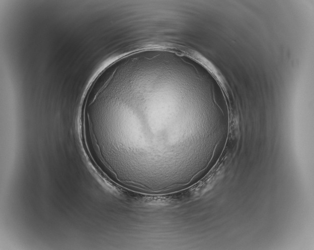 X0000110320811200905211525