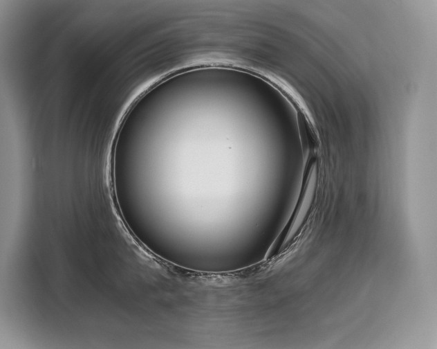 X0000110320815200905211525