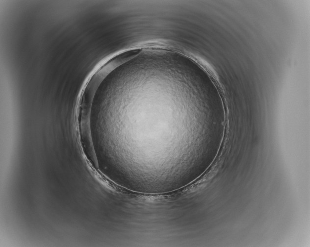 X0000110320816200905211525