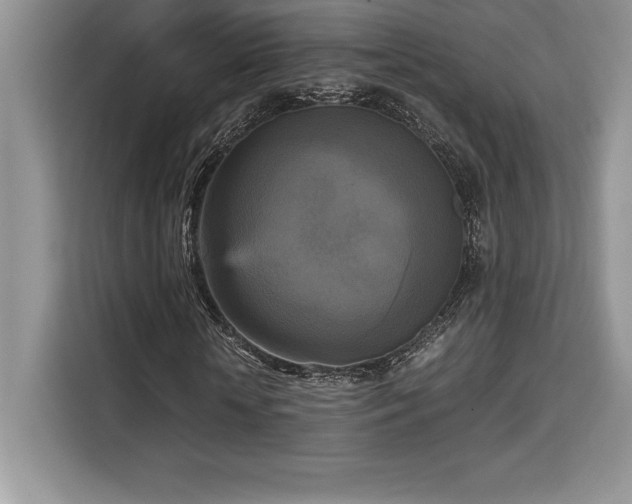 X0000110320818200905211524