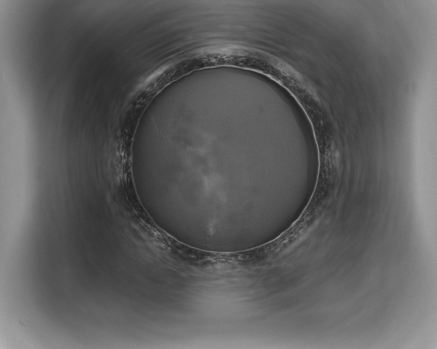 X0000110320822200905211524