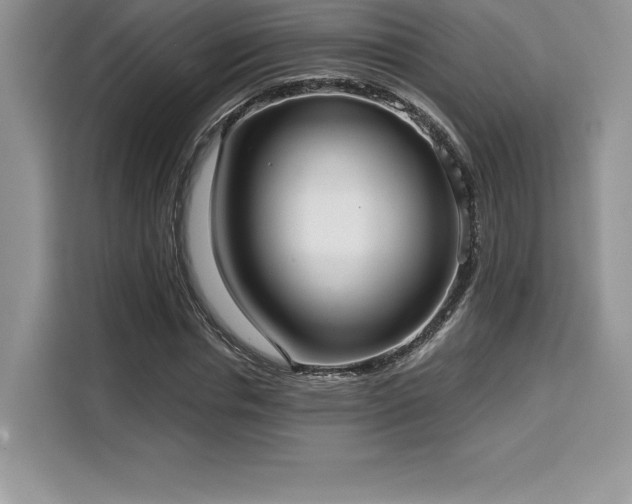 X0000110320826200905211524