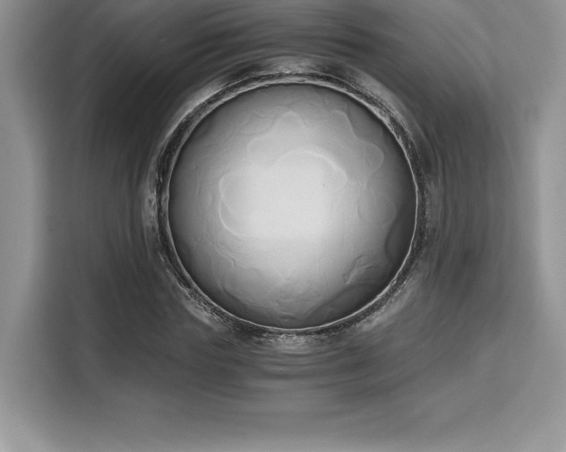 X0000110320827200905211524