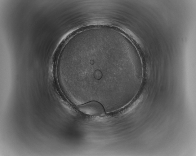 X0000110320830200905211524
