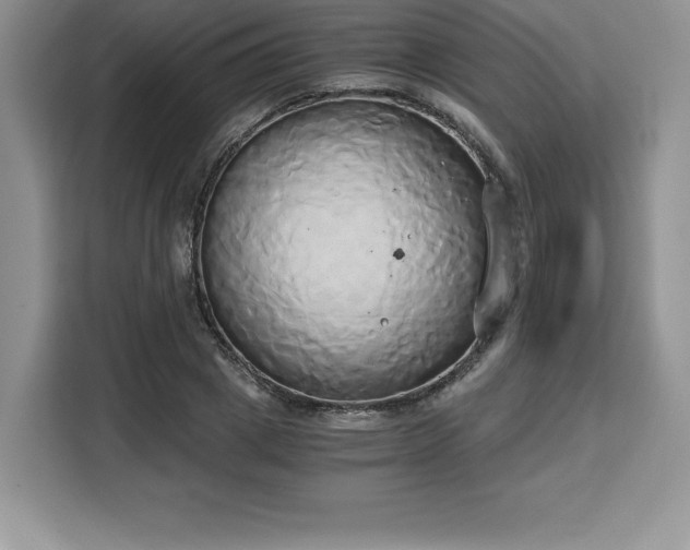 X0000110320833200905211524