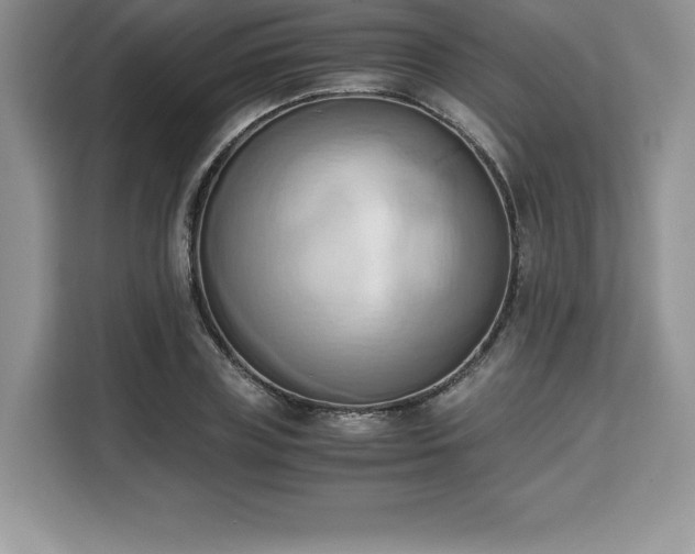 X0000110320835200905211525