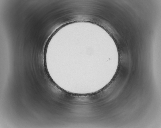 X0000110320836200905211525