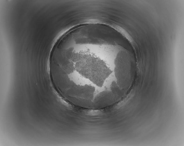 X0000110320839200905211525