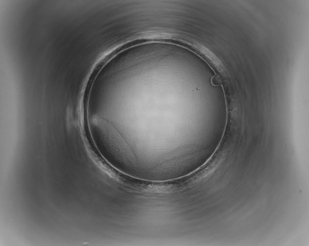 X0000110320840200905211525