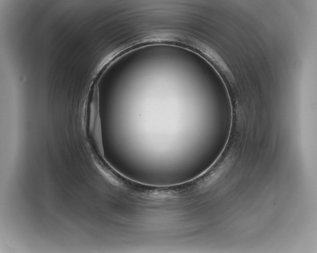 X0000110320842200905211525