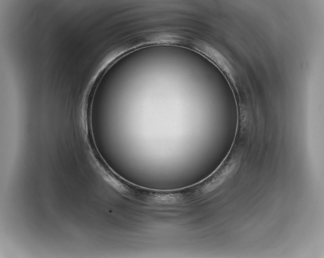 X0000110320843200905211525