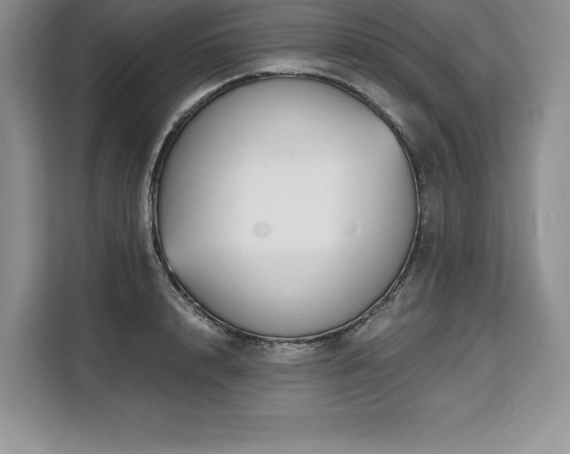 X0000110320848200905211525