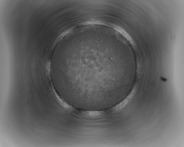 X0000110320849200905211525