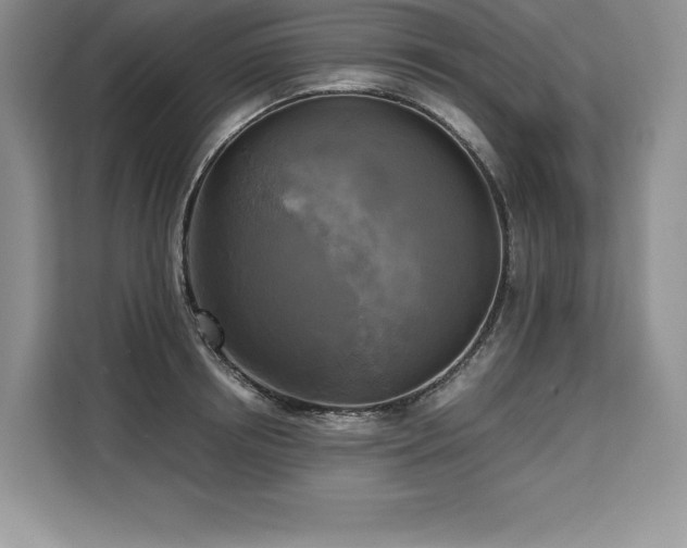 X0000110320850200905211525