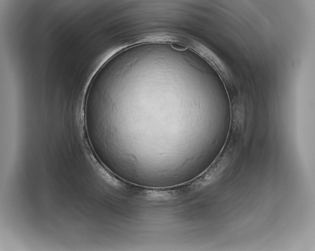 X0000110320852200905211525