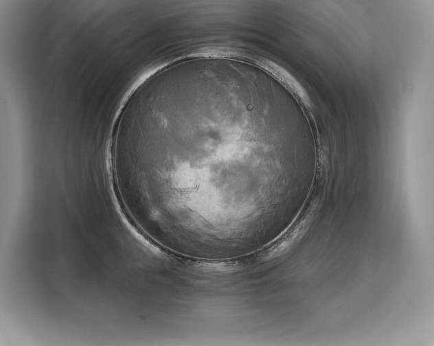 X0000110320855200905211525