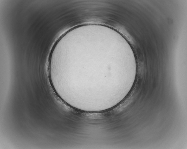 X0000110320856200905211525