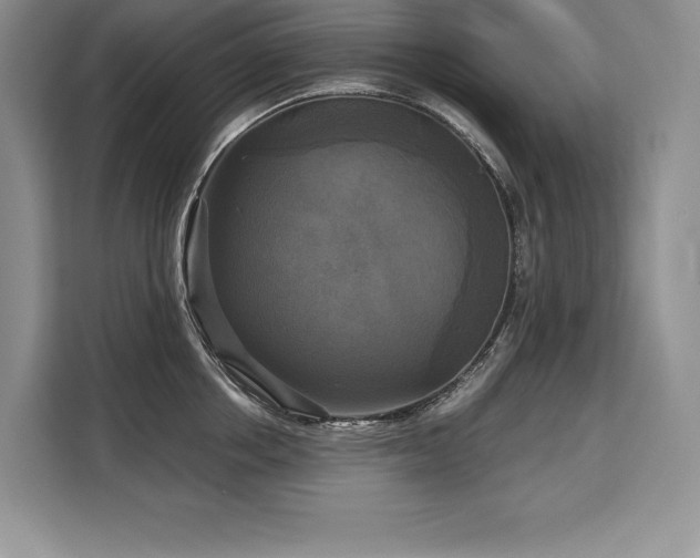 X0000110320858200905211525