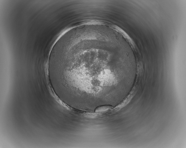 X0000110320860200905211525