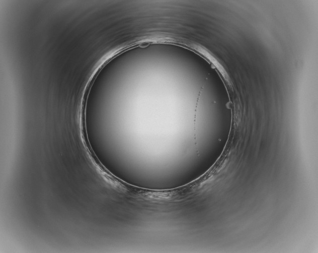 X0000110320861200905211525