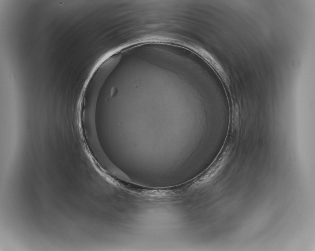 X0000110320862200905211525