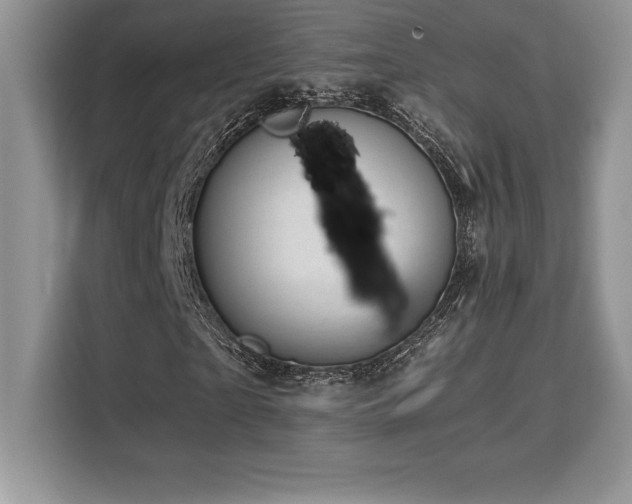 X0000110320865200905211524