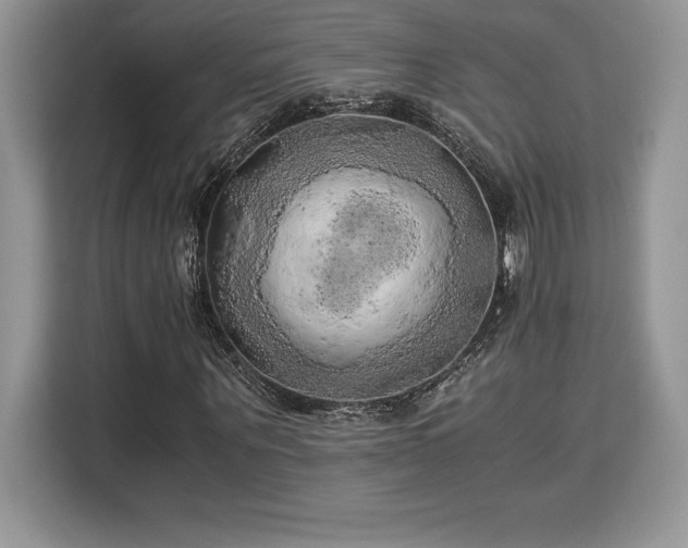 X0000110320867200905211524