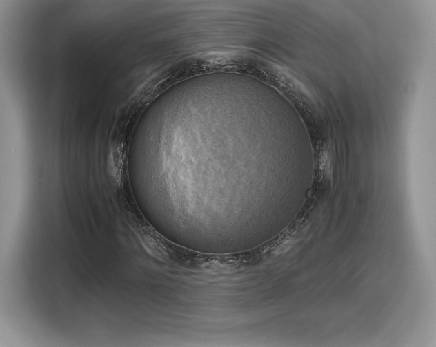 X0000110320868200905211524