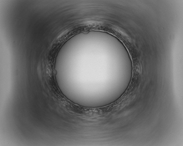 X0000110320869200905211524