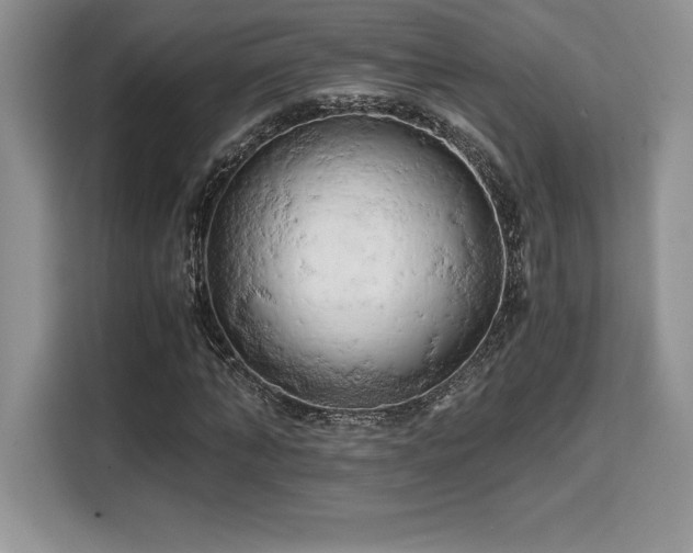 X0000110320870200905211524