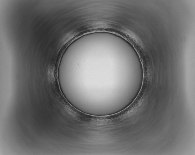 X0000110320873200905211524