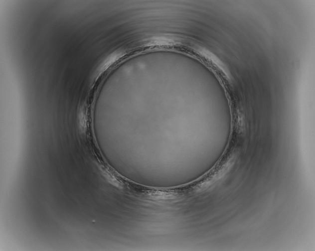 X0000110320874200905211524