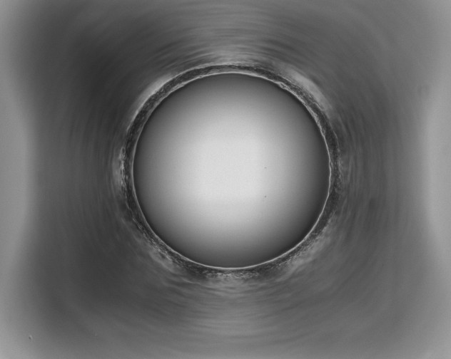 X0000110320875200905211524