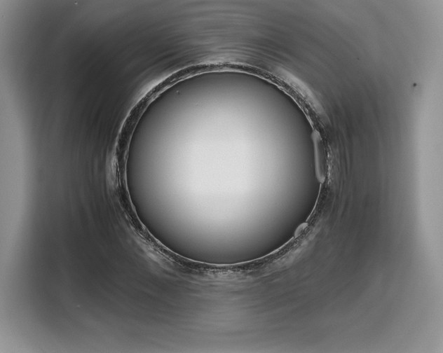 X0000110320876200905211524