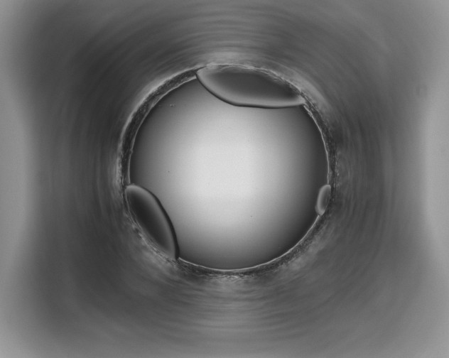 X0000110320880200905211524
