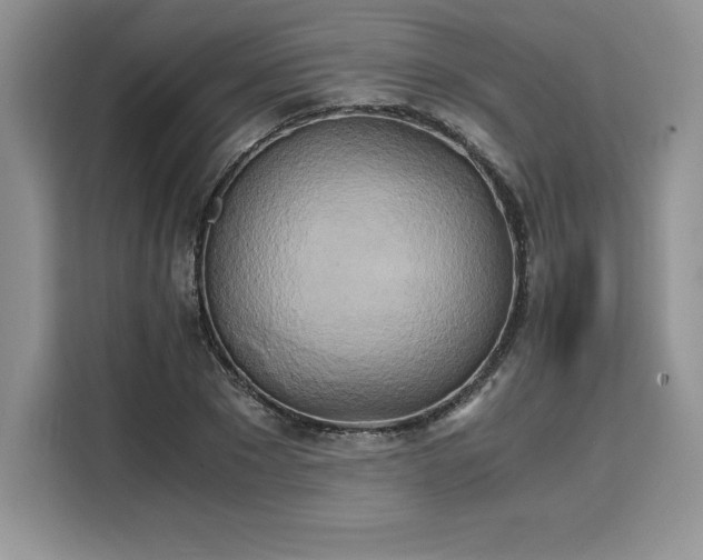 X0000110320881200905211524