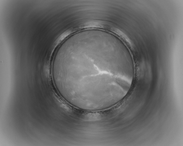 X0000110320882200905211524