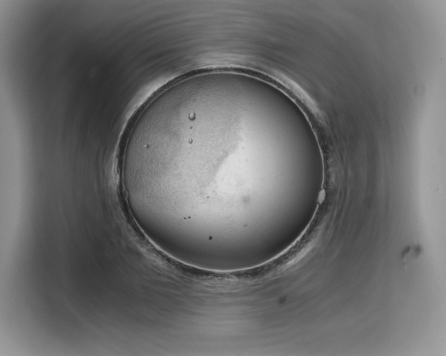 X0000110320885200905211524