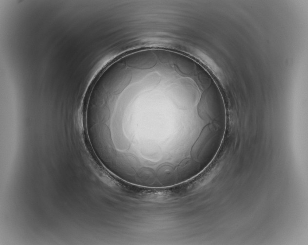X0000110320891200905211524