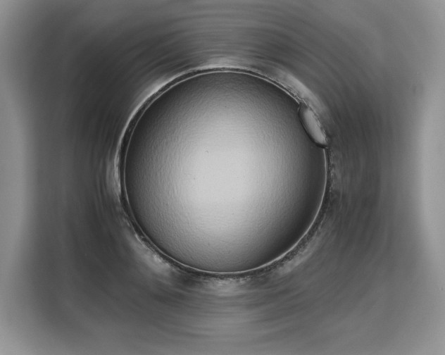 X0000110320892200905211524