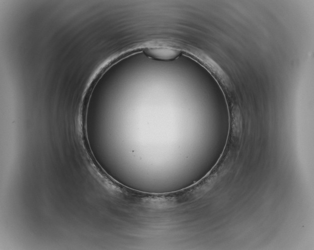 X0000110320896200905211524
