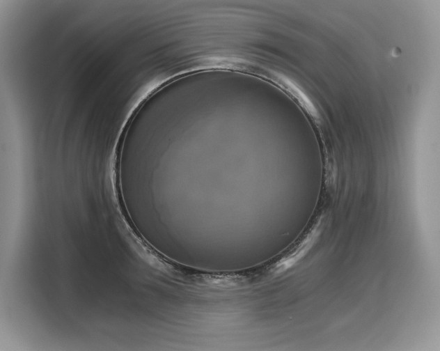 X0000110320899200905211524