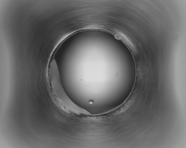 X0000110320900200905211524